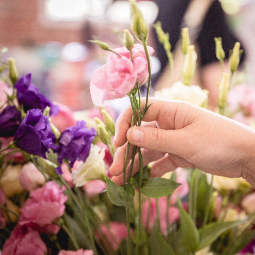 Flowers